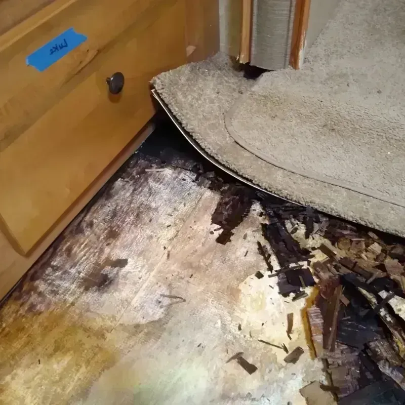 Best Wood Floor Water Damage Service in Trafalgar, IN